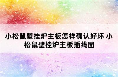 小松鼠壁挂炉主板怎样确认好坏 小松鼠壁挂炉主板插线图